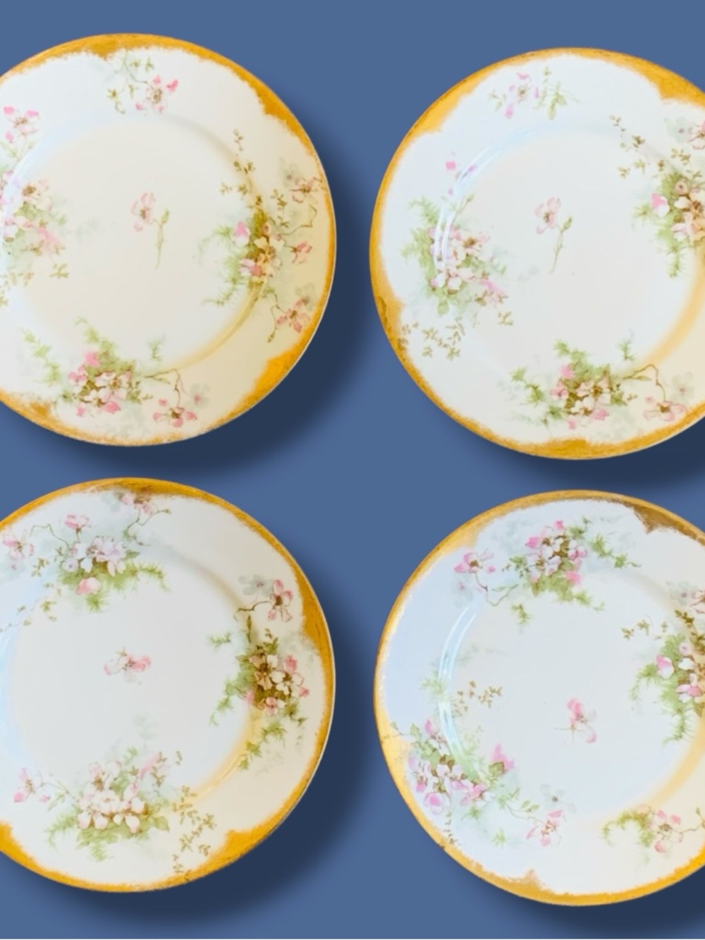 Limoges Theodore Haviland French Porcelain 7” Dish Set